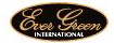 EVER GRENN(エバーグリーン)