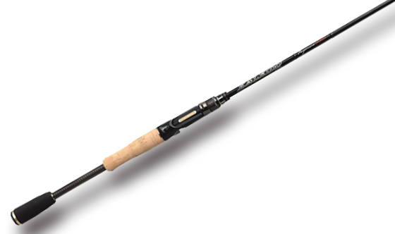 EVERGREEN(エバーグリーン) カレイド・インスピラーレ