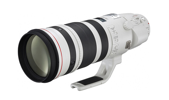 EF 200-400mm F4 LIS USM エクステンダー 1.4×買取