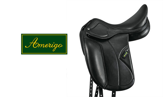 Amerigo(アメリゴ)