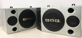 CS-300V
