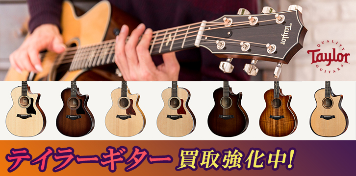 テイラー(Taylor)高価買取