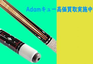 Adamのビリヤード　キュー