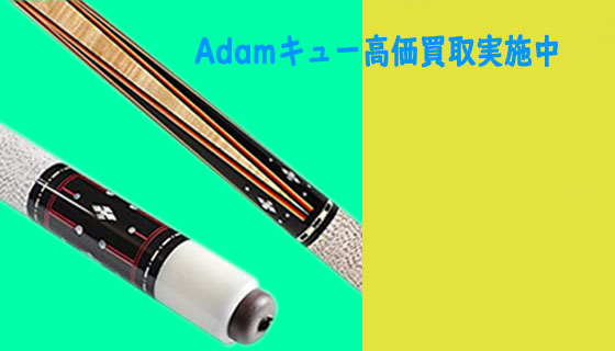 Adamのビリヤード　キュー