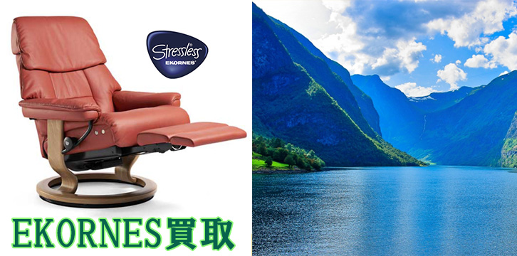 エコーネス高価買取