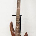 aria pro Ⅱ avante series - main