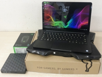 Razer Blade Stealth 13.3