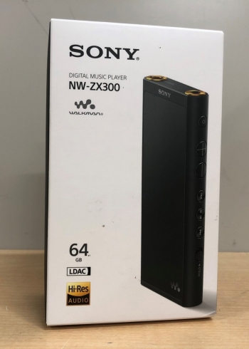 NW-ZX300