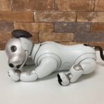 SONY ソニー AIBO アイボ ERS-1000